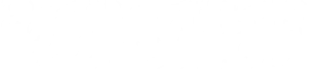 نقابة المهن الرقمية